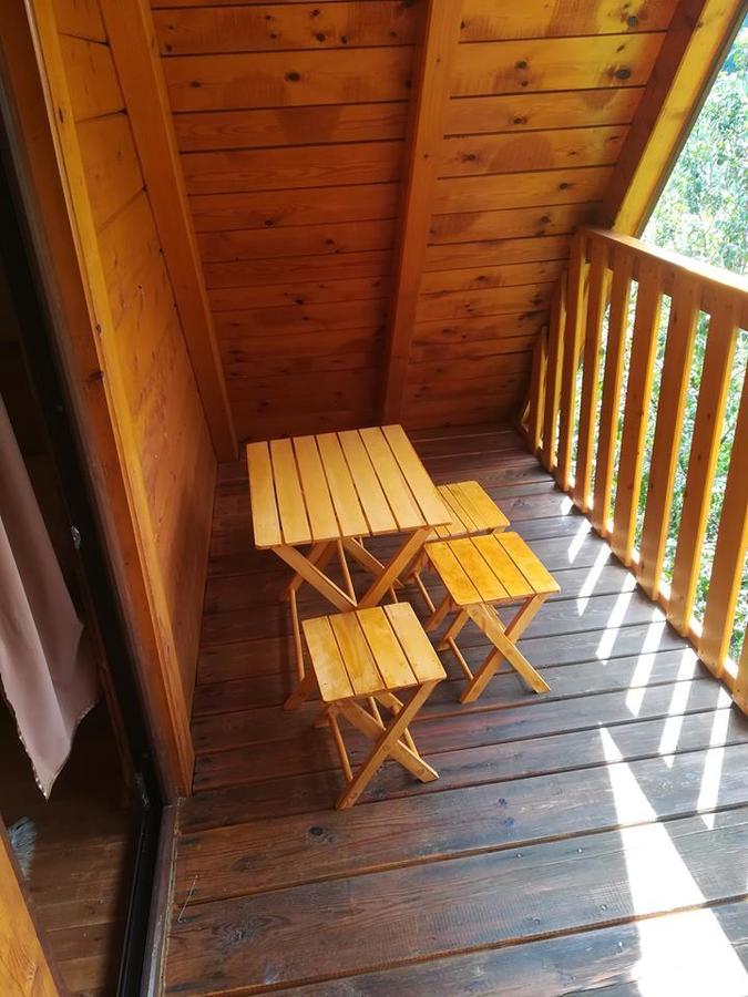 Villa Vikendica Neven à Zaovine Extérieur photo